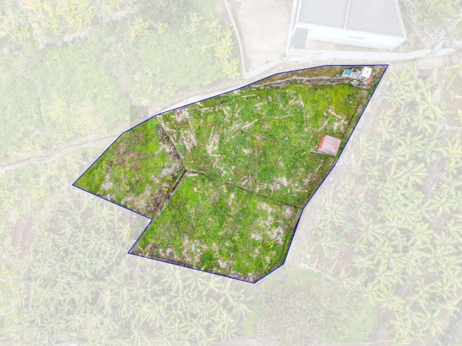 Terreno para Venda em Arco da Calheta Foto 13