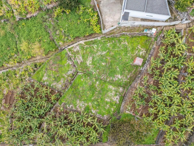 Terreno para Venda em Arco da Calheta Foto 17
