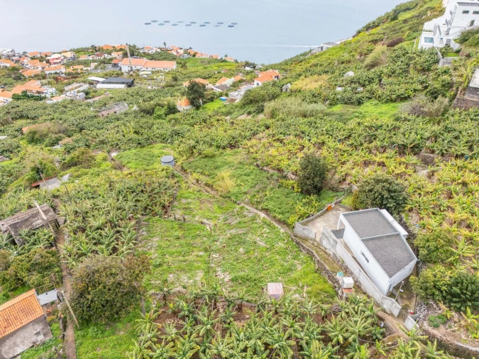 Terreno para Venda em Arco da Calheta Foto 3