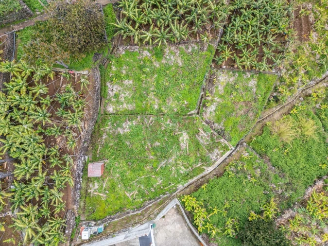 Terreno para Venda em Arco da Calheta Foto 2