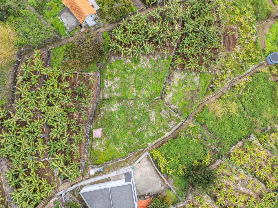 Terreno para Venda em Arco da Calheta Foto 16