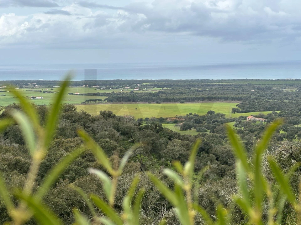 Quinta para Venda em Vila Nova de Milfontes Foto 11