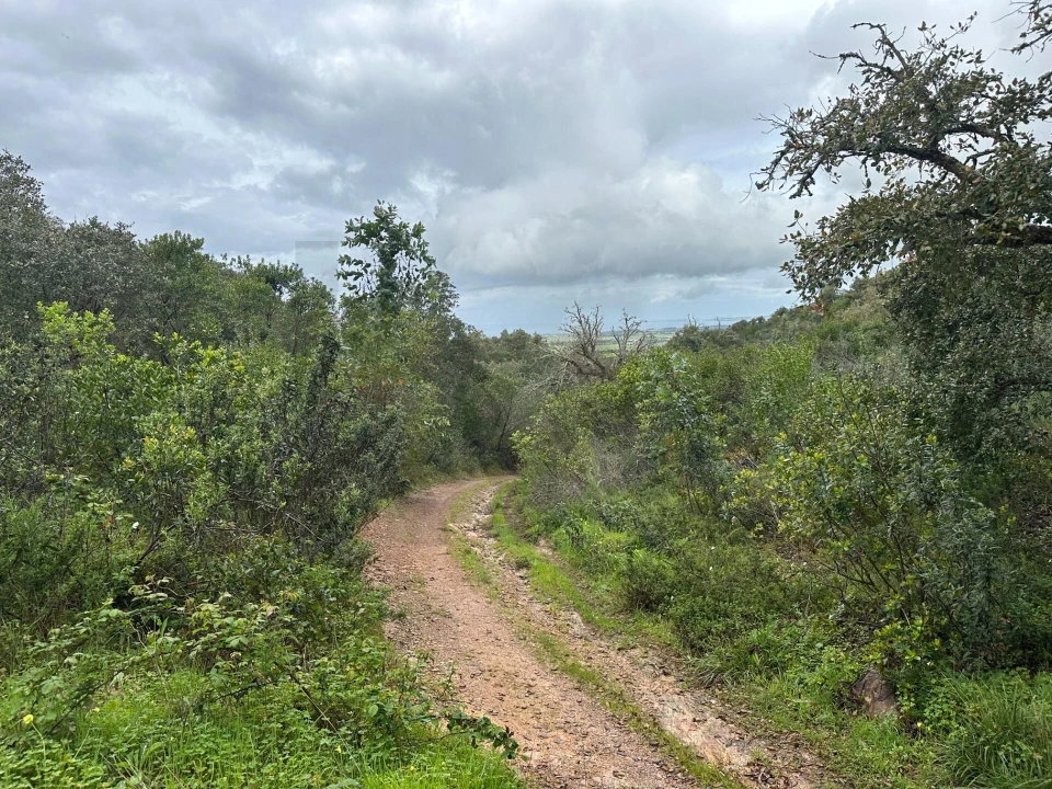 Quinta para Venda em Vila Nova de Milfontes Foto 13