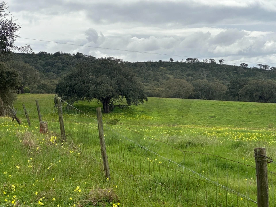 Quinta para Venda em Vila Nova de Milfontes Foto 3