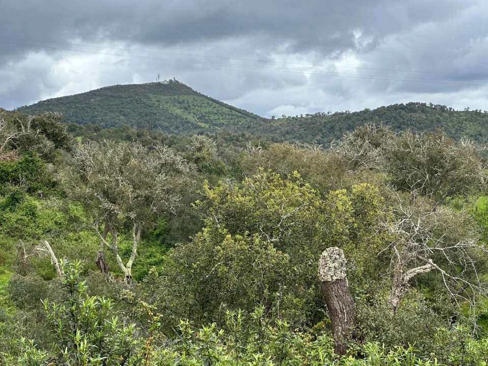 Quinta para Venda em Vila Nova de Milfontes Foto 16