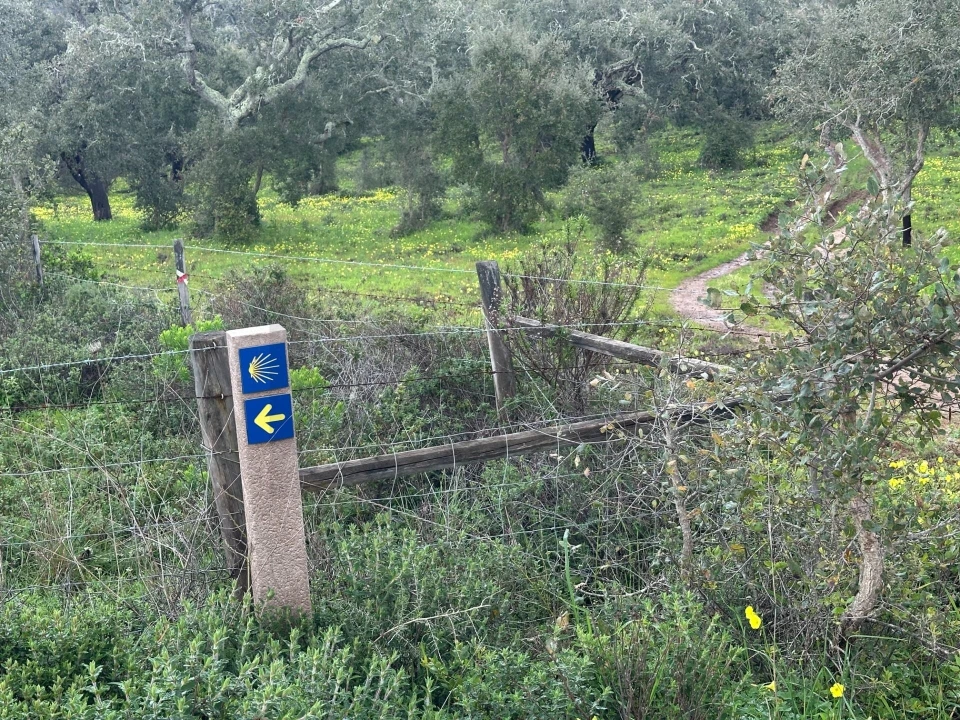 Quinta para Venda em Vila Nova de Milfontes Foto 4