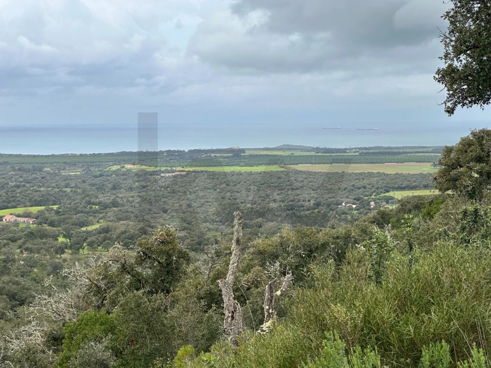 Quinta para Venda em Vila Nova de Milfontes Foto 10