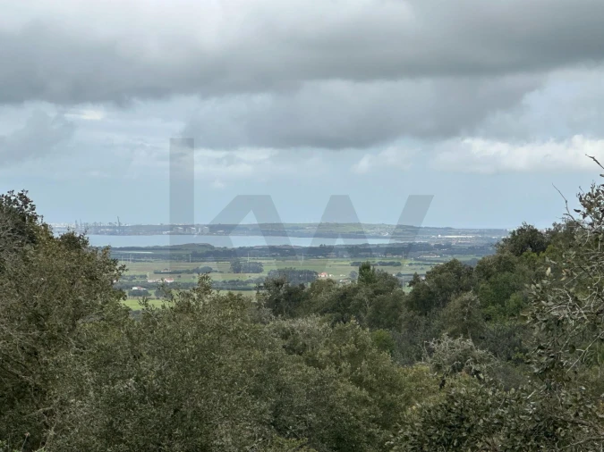Quinta para Venda em Vila Nova de Milfontes Foto 14