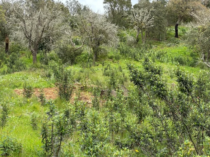 Quinta para Venda em Vila Nova de Milfontes Foto 17