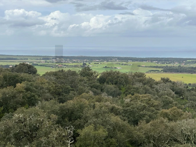 Quinta para Venda em Vila Nova de Milfontes Foto 9