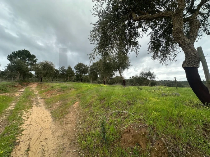 Quinta para Venda em Vila Nova de Milfontes Foto 1
