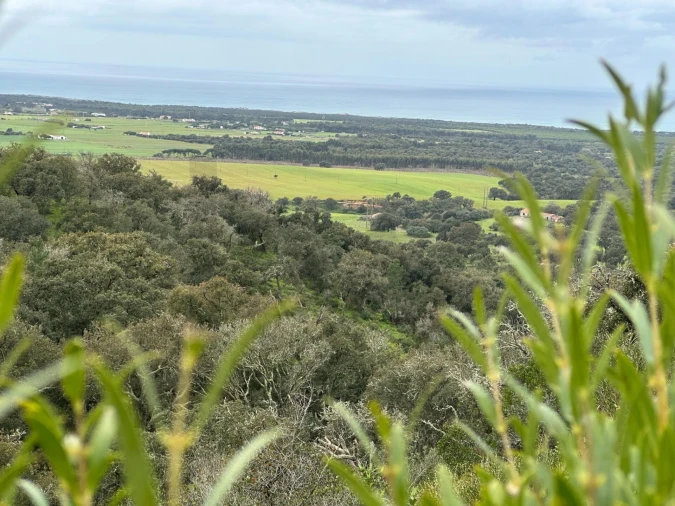 Quinta para Venda em Vila Nova de Milfontes Foto 12