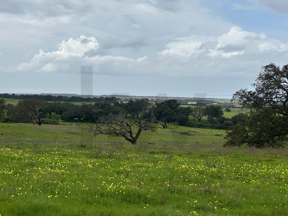 Quinta para Venda em Vila Nova de Milfontes Foto 2