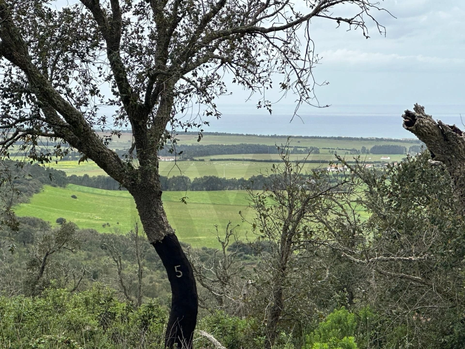 Quinta para Venda em Vila Nova de Milfontes Foto 18
