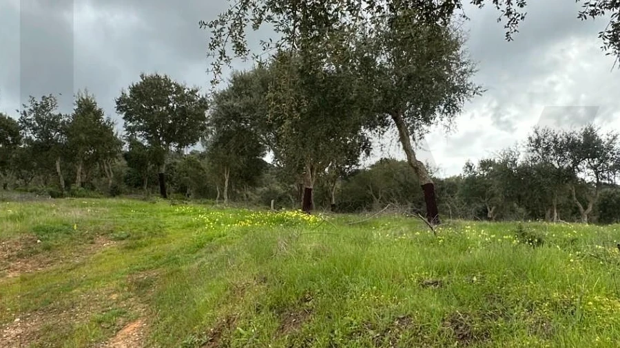 Quinta para Venda em Vila Nova de Milfontes