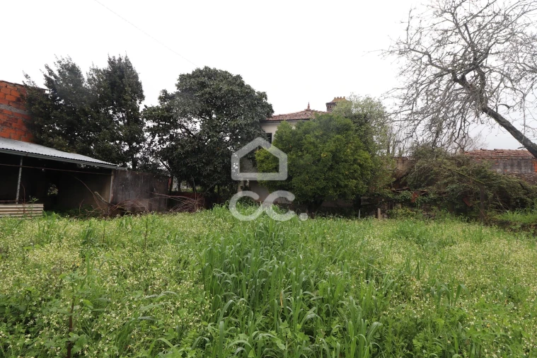 Moradia para Venda em Chão de Couce Foto 14