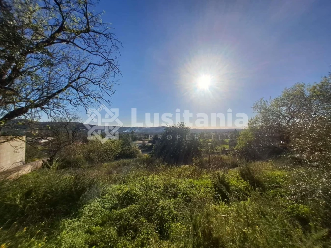 Terreno para Venda em Loule (São Sebastião) Foto 2