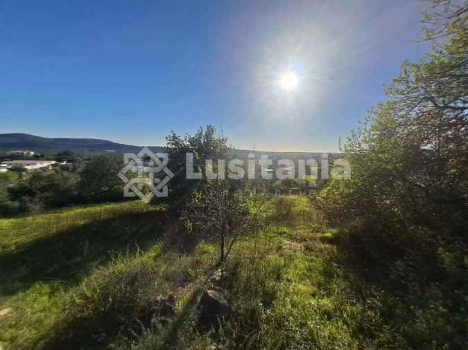 Terreno para Venda em Loule (São Sebastião) Foto 10