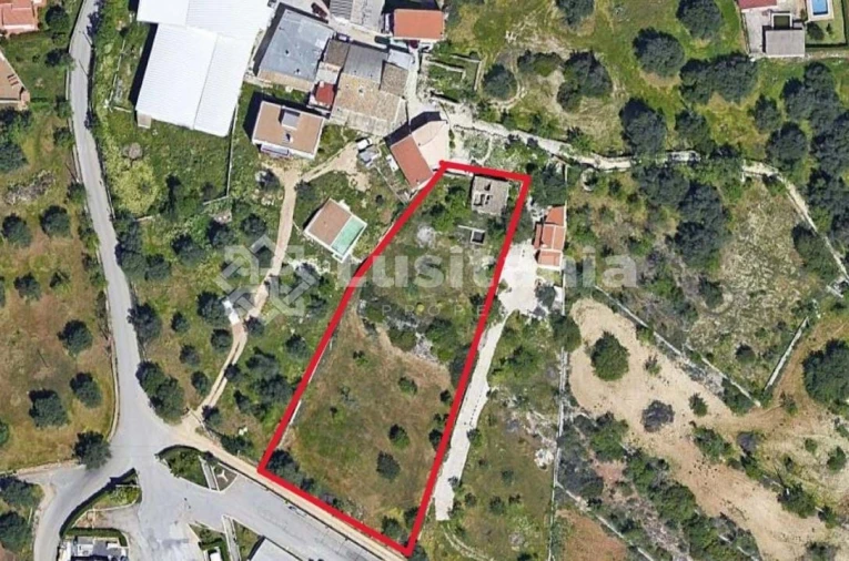 Terreno para Venda em Loule (São Sebastião) Foto 11