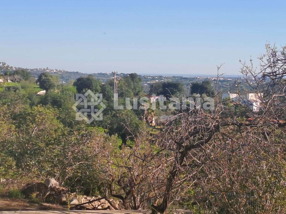 Terreno para Venda em Loule (São Sebastião) Foto 4