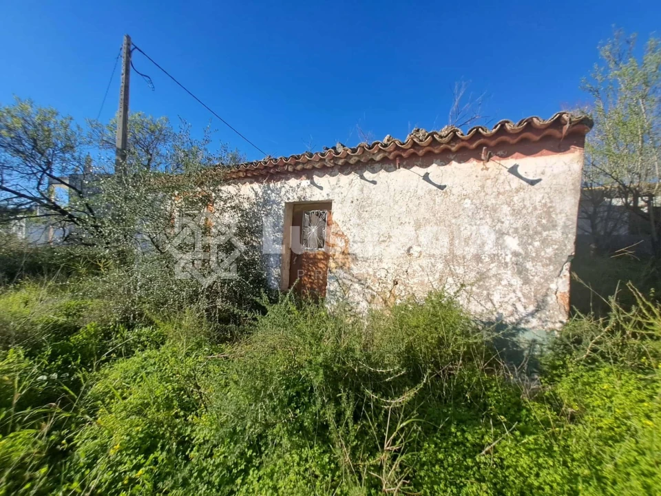 Terreno para Venda em Loule (São Sebastião) Foto 9