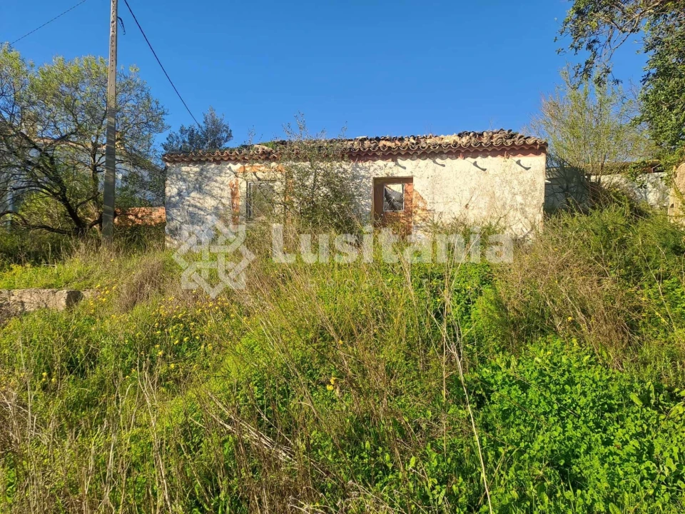 Terreno para Venda em Loule (São Sebastião) Foto 3