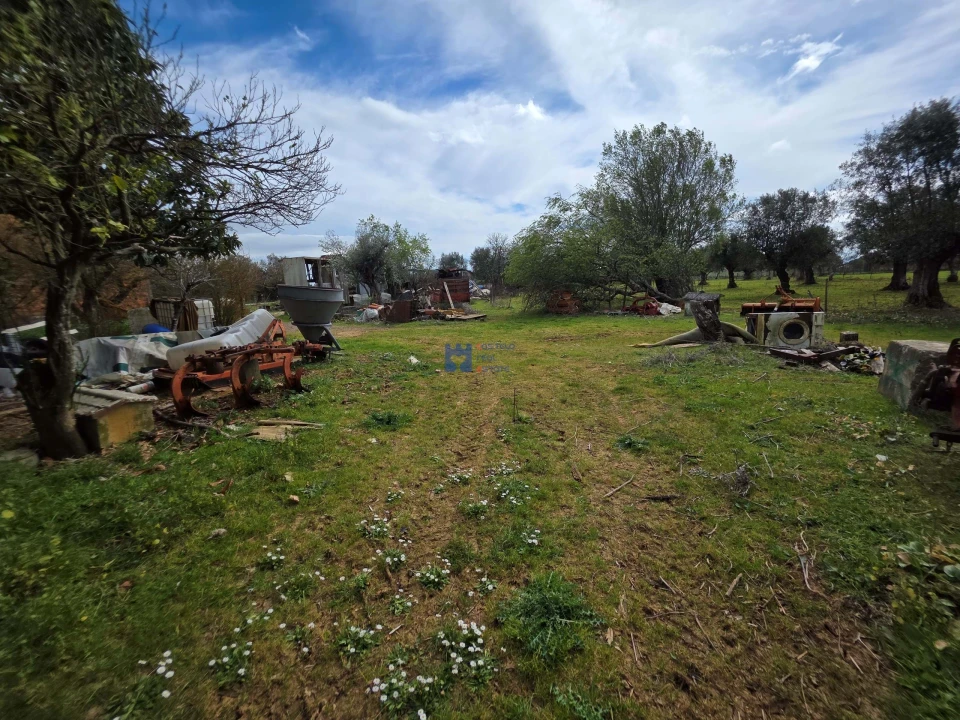 Terreno para Venda em Zibreira Foto 24