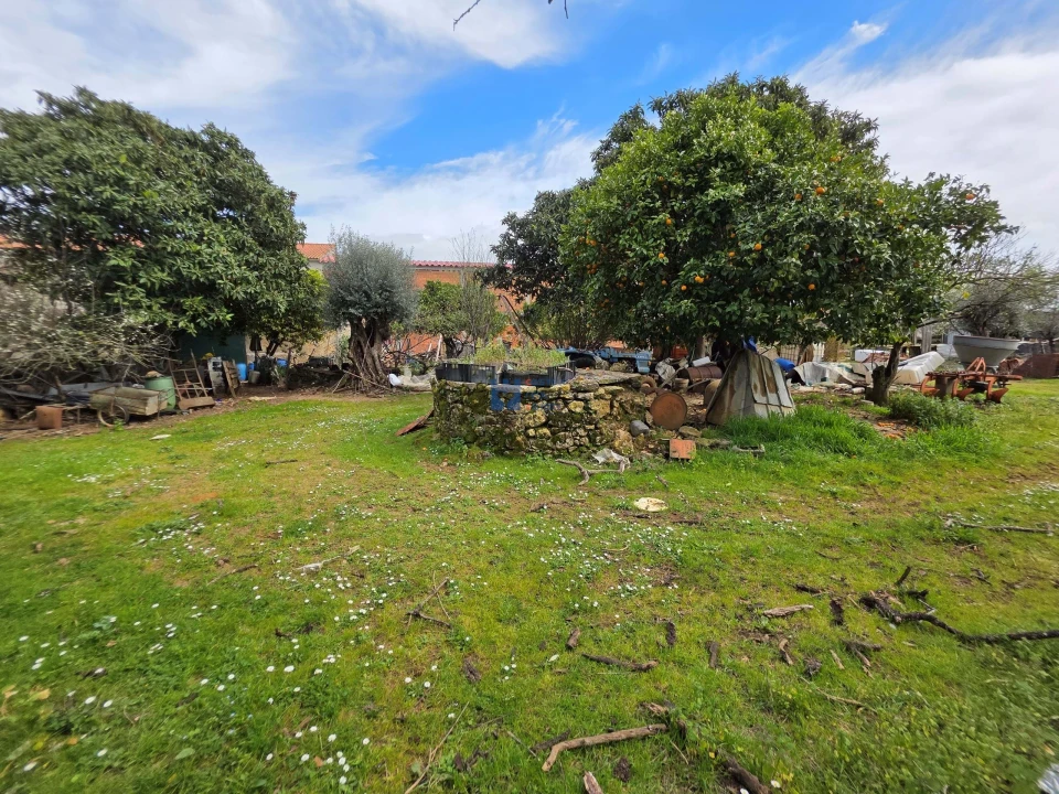 Terreno para Venda em Zibreira Foto 26