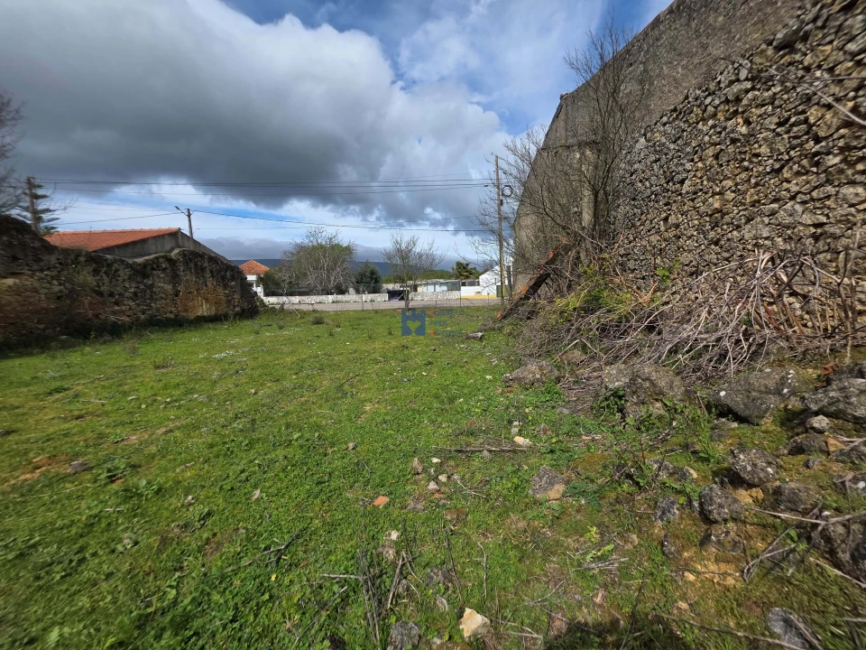 Terreno para Venda em Zibreira Foto 13