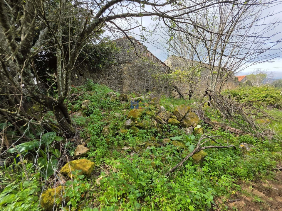 Terreno para Venda em Zibreira Foto 15