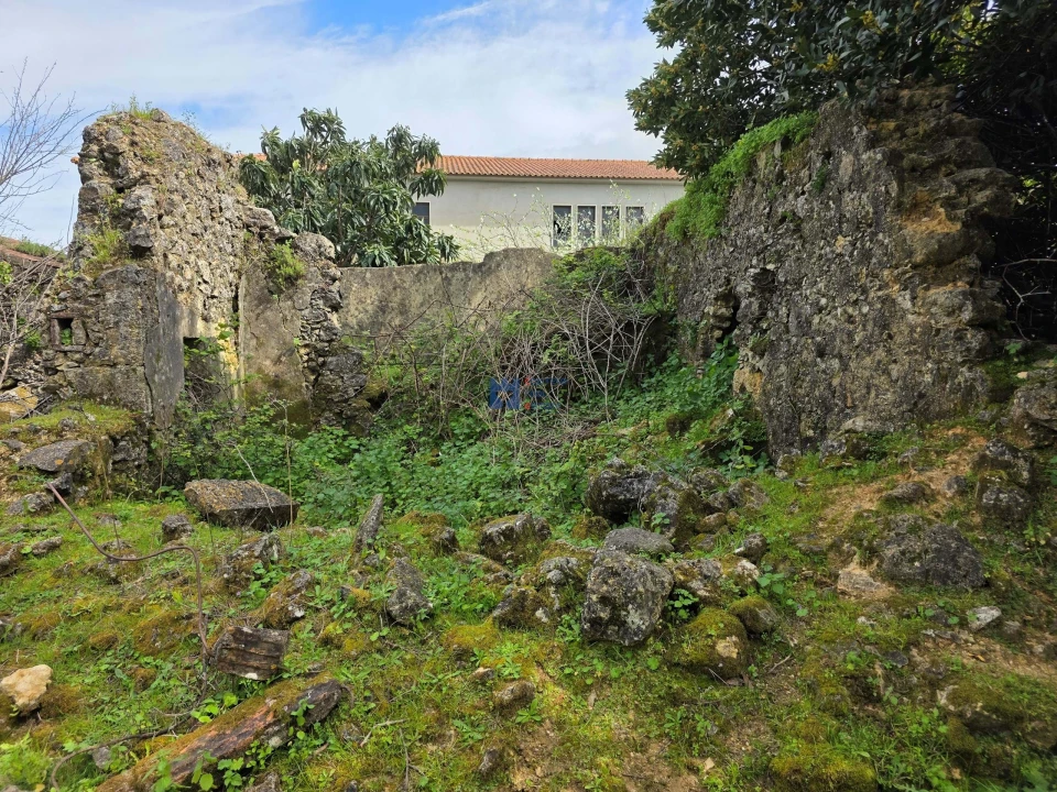 Terreno para Venda em Zibreira Foto 18
