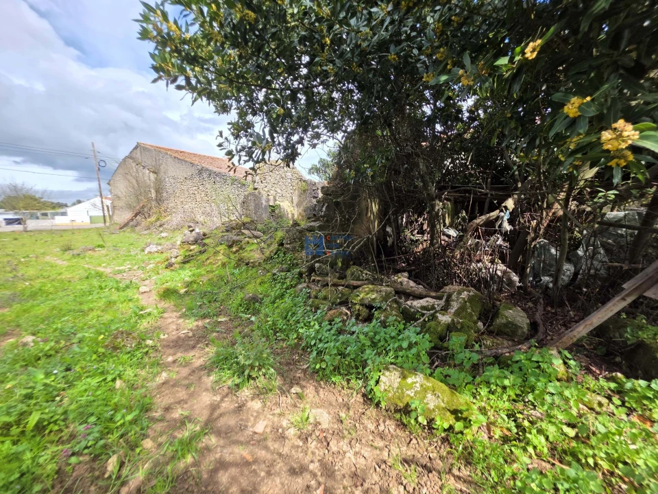 Terreno para Venda em Zibreira Foto 17