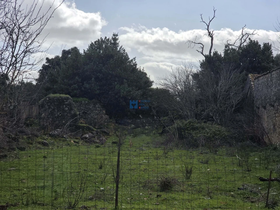 Terreno para Venda em Zibreira Foto 4