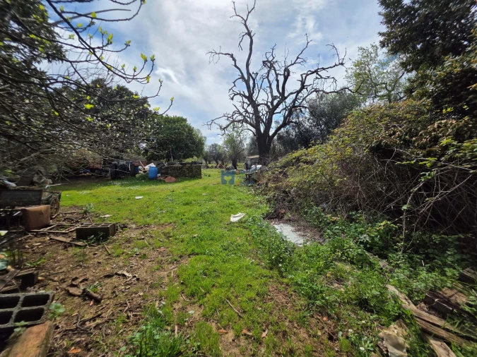Terreno para Venda em Zibreira Foto 16
