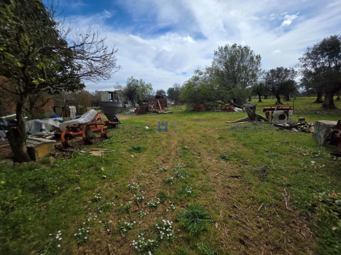 Terreno para Venda em Zibreira Foto 24