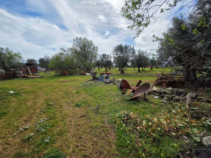 Terreno para Venda em Zibreira Foto 25