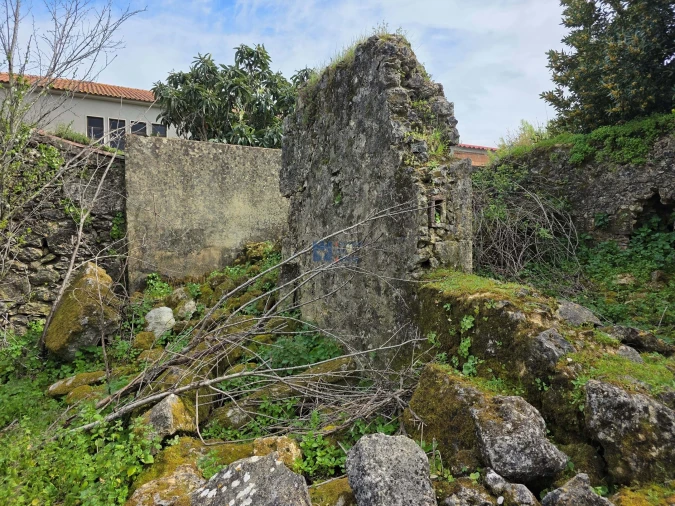 Terreno para Venda em Zibreira Foto 19