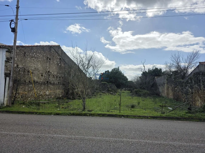 Terreno para Venda em Zibreira Foto 5