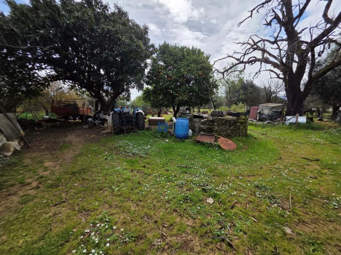 Terreno para Venda em Zibreira Foto 28