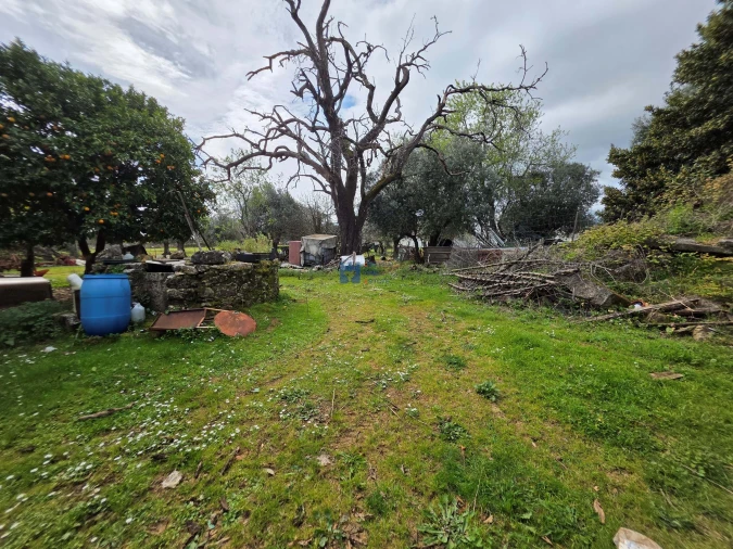 Terreno para Venda em Zibreira Foto 29