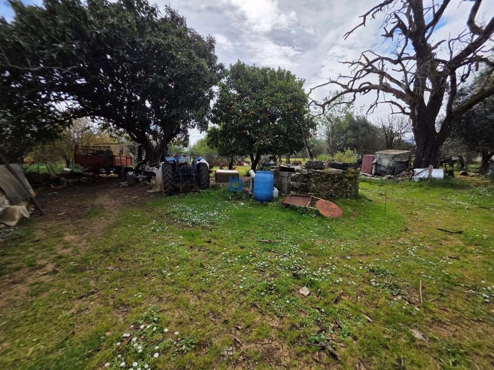 Terreno para Venda em Zibreira Foto 28