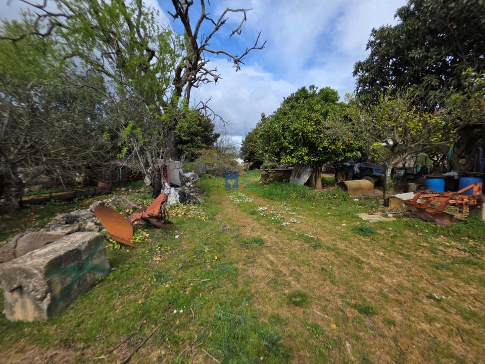 Terreno para Venda em Zibreira Foto 23