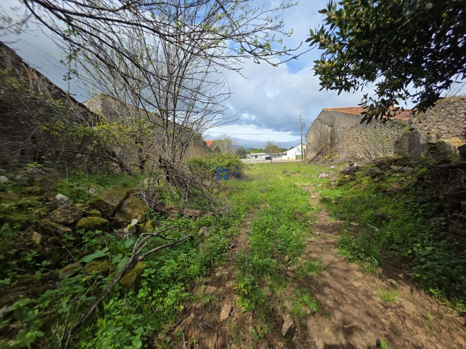Terreno para Venda em Zibreira Foto 14