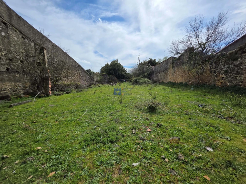 Terreno para Venda em Zibreira Foto 6