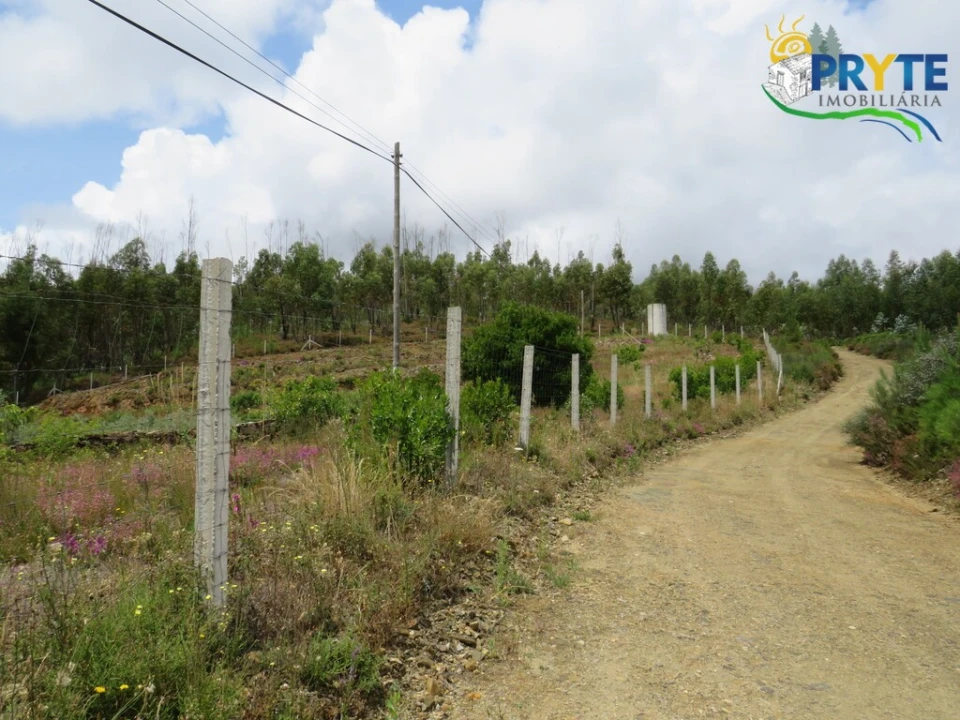 Quinta para Venda em Troviscal Foto 1