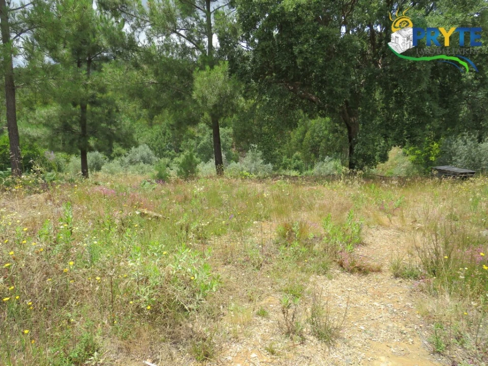 Quinta para Venda em Troviscal Foto 4