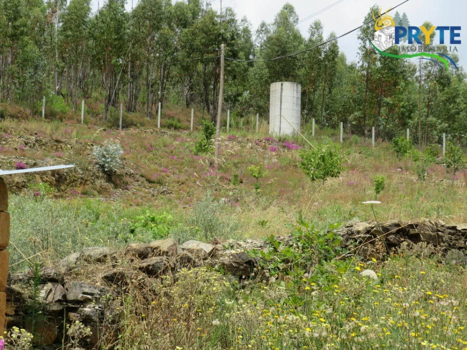Quinta para Venda em Troviscal Foto 5