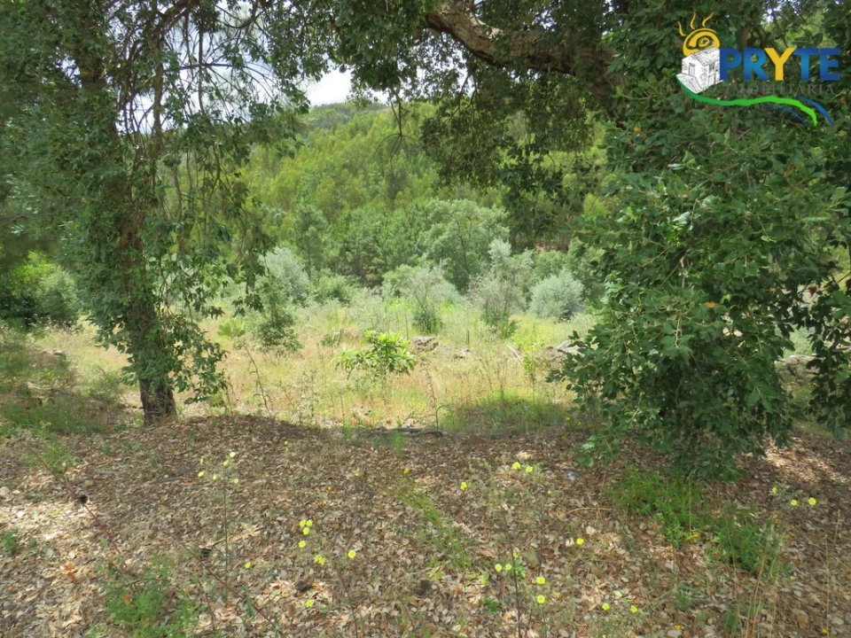 Quinta para Venda em Troviscal Foto 7