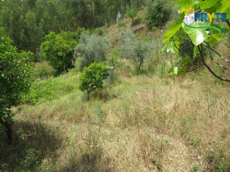 Quinta para Venda em Troviscal Foto 17