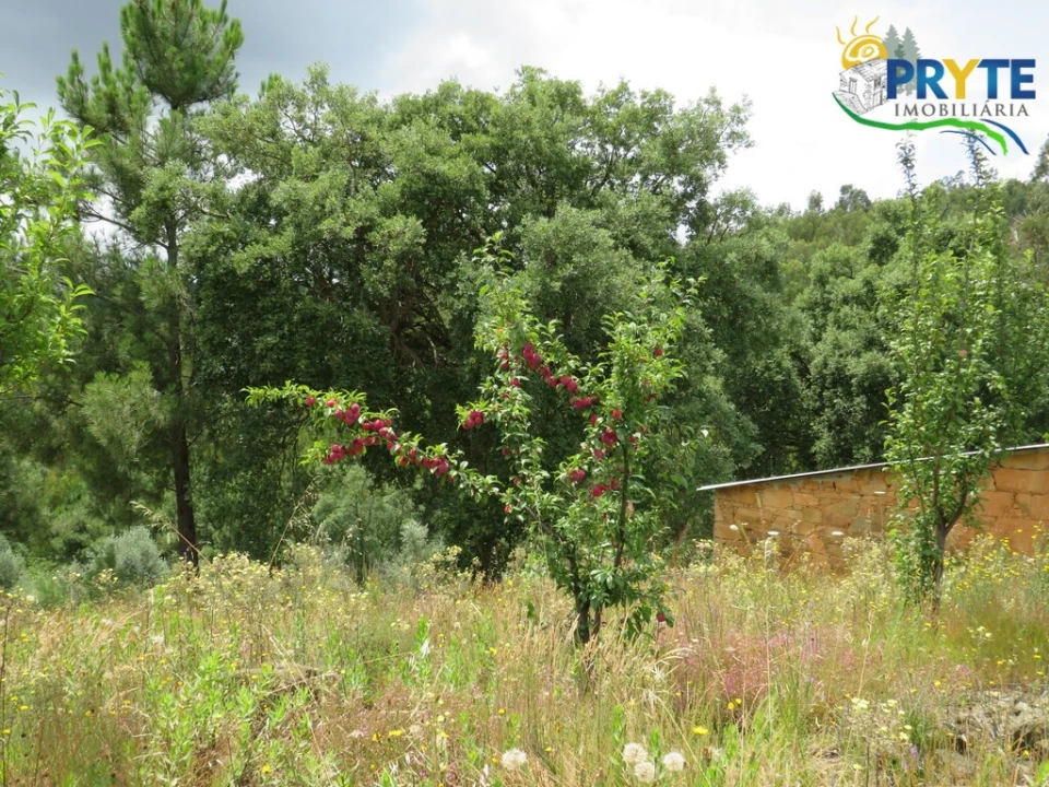 Quinta para Venda em Troviscal Foto 21